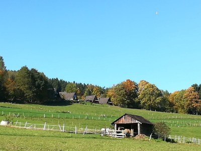 Holiday house Almenweg - Outdoor photo 8