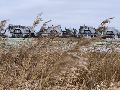 Holiday house Achternkieker 1 - Environment photo 38