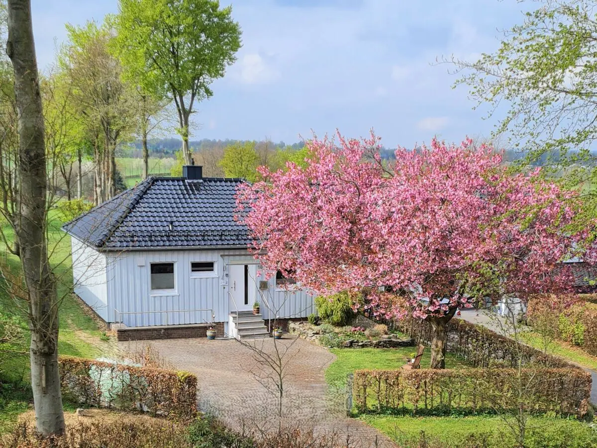 Holiday house Cherry trees in blossom