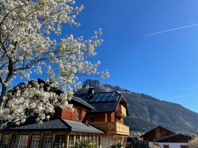 Holiday apartment Ferienwohnung Flora in Altaussee - Holiday apartment
