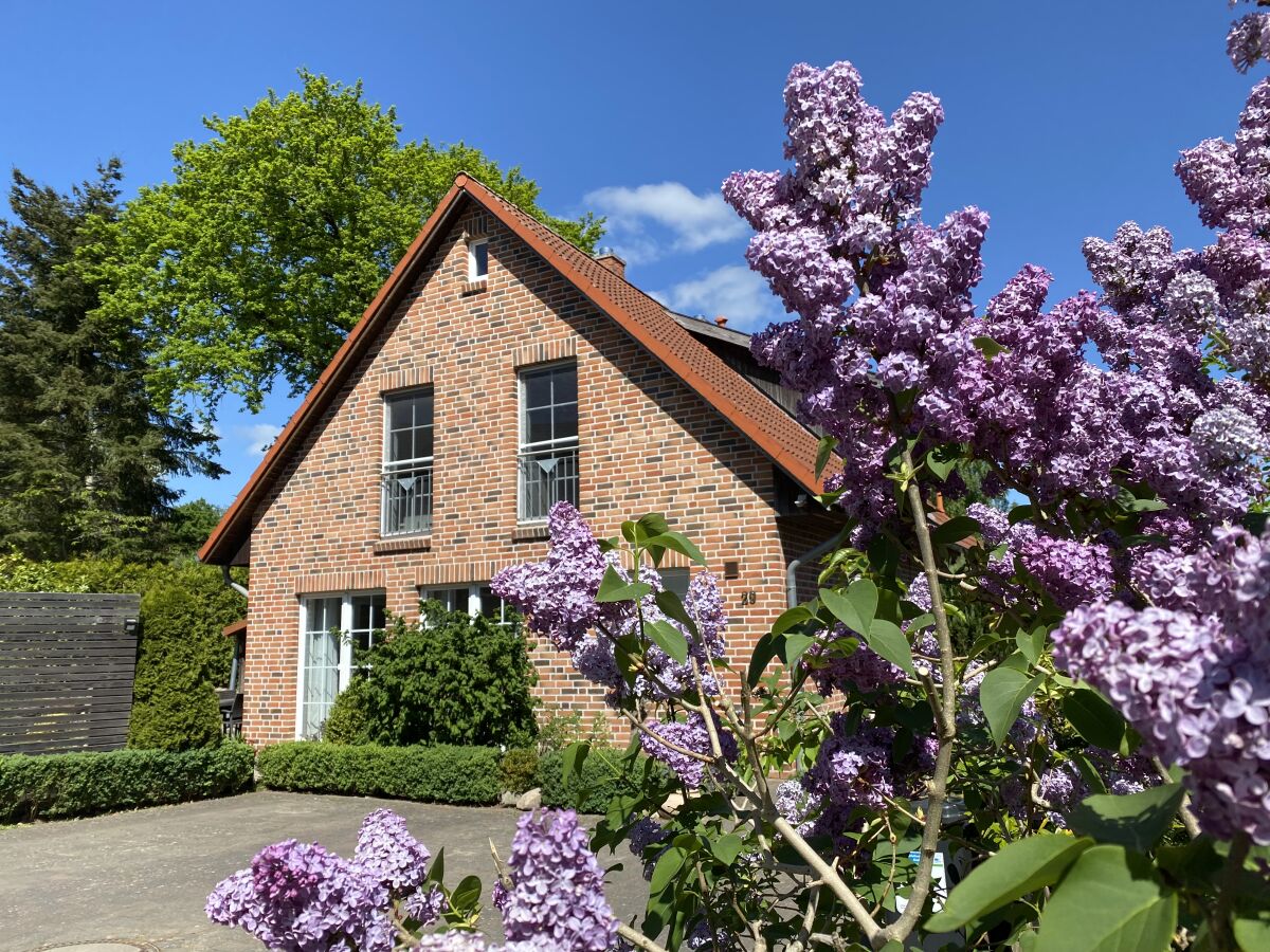 Holiday house House Schaalsee