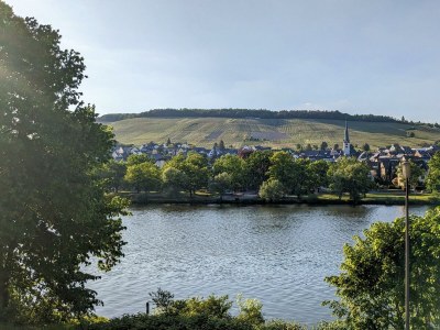 Apartment Haus an der Mosel - Outdoor photo 4