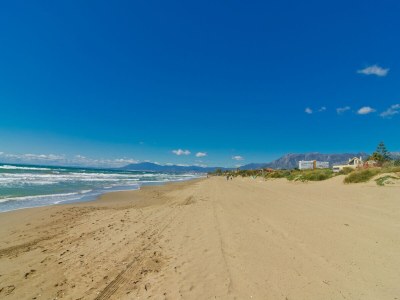 Villa Beachfront heated pool - Environment photo 22