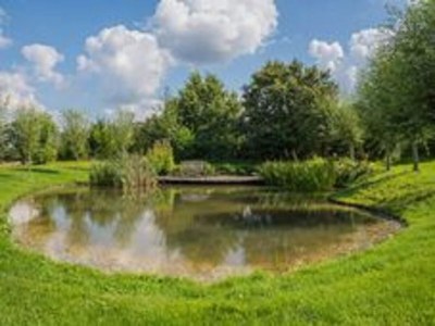 Farmhouse Prachtvolles Bauernhaus in Dwingeloo - Environment photo 25