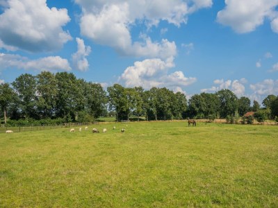 Farmhouse Prachtvolles Bauernhaus in Dwingeloo - Environment photo 29