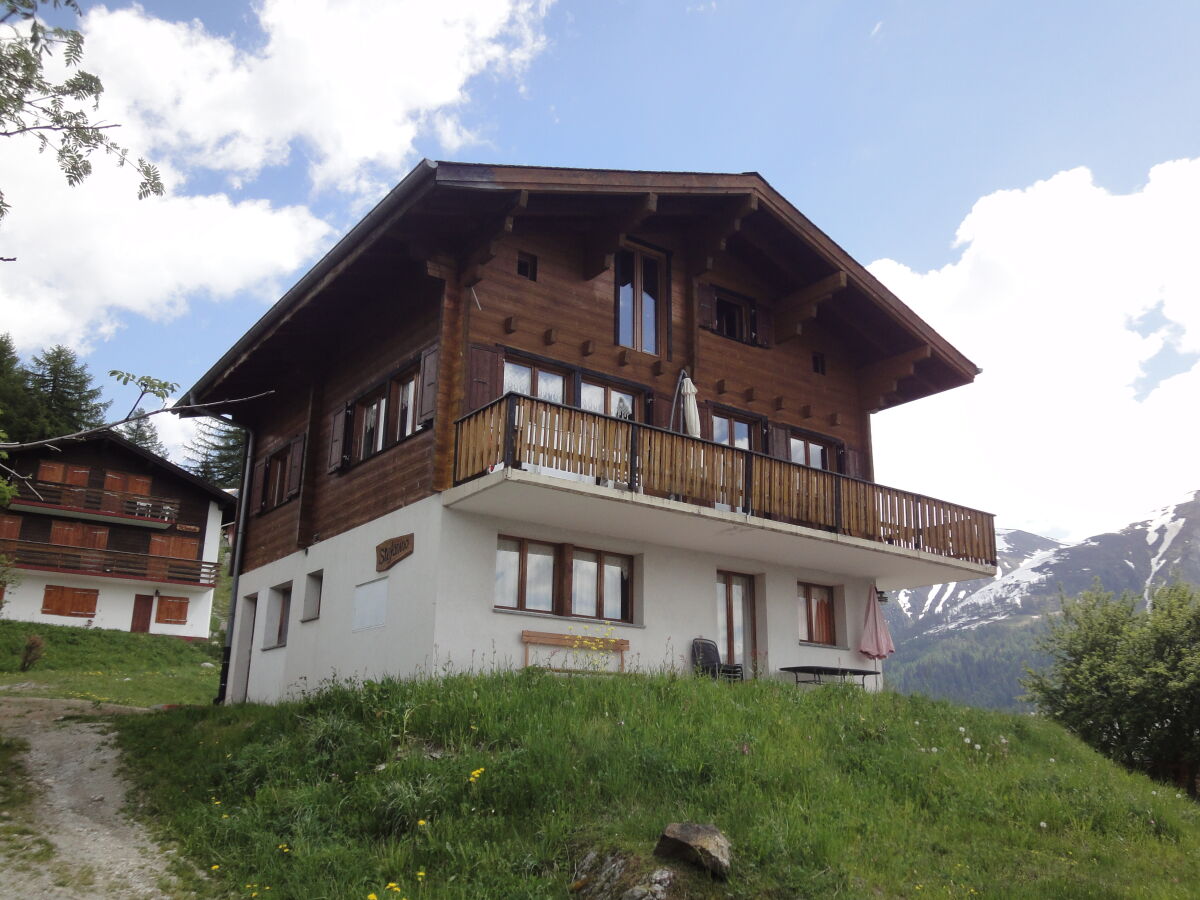 Holiday apartment in the Chalet Stefanino
