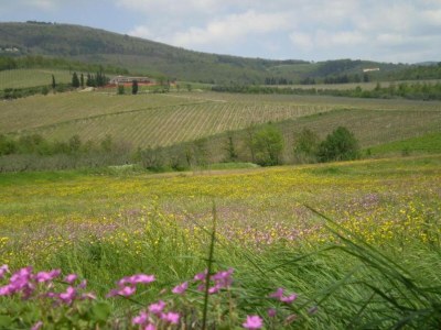 Apartment Wohnung in der Toskana bei Florenz - Environment photo 22