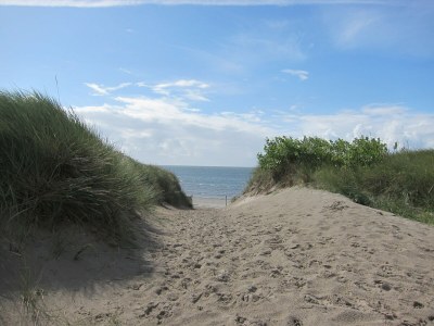 Holiday house Kliffkante Ebner - Environment photo 19