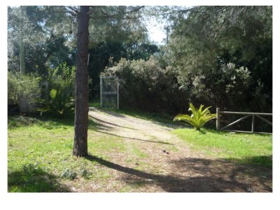 Apartment Seramattino A - Outdoor photo 12