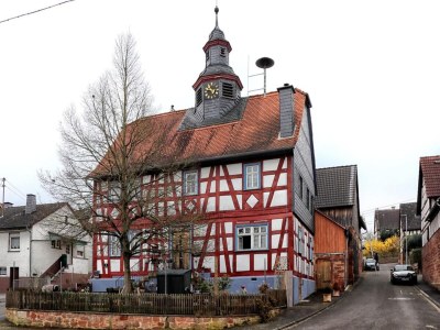 Apartment Eifel Garden Hideaway - Environment photo 17