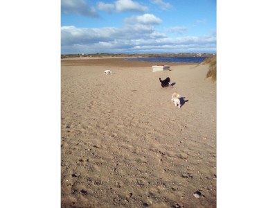 Holiday house well-kept holiday apartment at the ocean - Environment photo 24