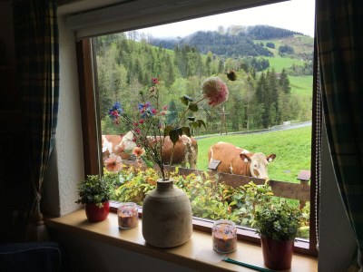 Holiday house Bella Vista. - Outdoor photo 9