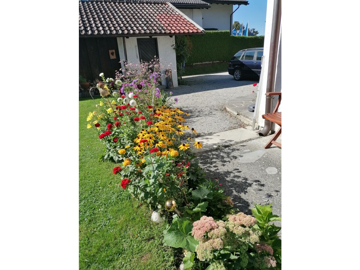 Holiday house Flori