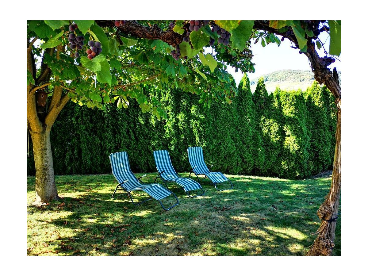 Apartment Appartement Dusche/WC, Moselblick - Outdoor photo 3