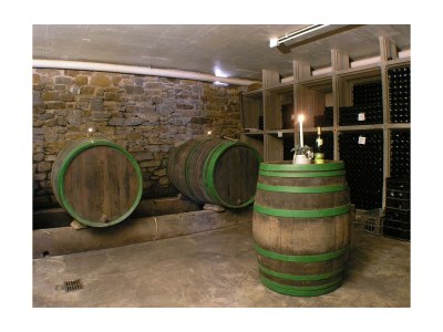Apartment Appartement Dusche/WC, Moselblick - Outdoor photo 11