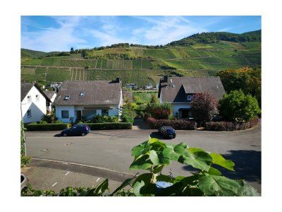 Apartment Appartement Dusche/WC, Moselblick - Features photo 20