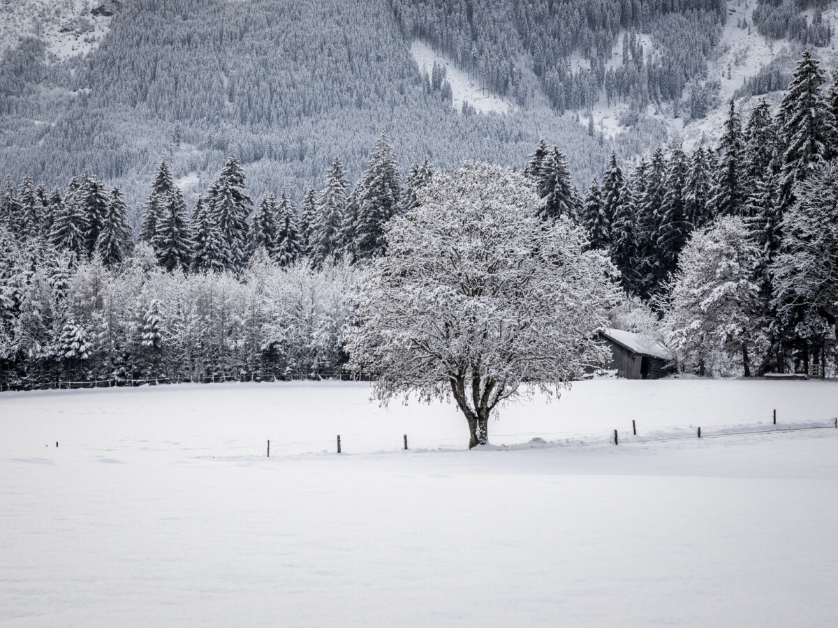 Holiday apartment Fam. Gruber Hansenbauer - Outdoor photo 4