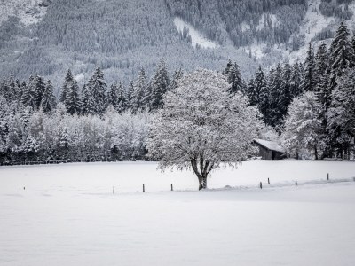 Holiday apartment Fam. Gruber Hansenbauer - Outdoor photo 4