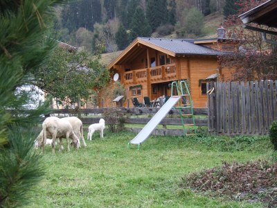 Holiday house Alpine Chalet Jottem! - Environment photo 30