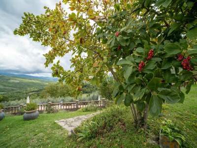 Farmhouse Mittelalterliches Bauernhaus in Caprese Michelangelo mit Terrasse - Outdoor photo 12
