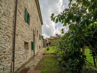 Farmhouse Mittelalterliches Bauernhaus in Caprese Michelangelo mit Terrasse - Outdoor photo 13