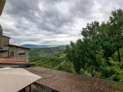 Farmhouse Mittelalterliches Bauernhaus in Caprese Michelangelo mit Terrasse - Environment photo 29
