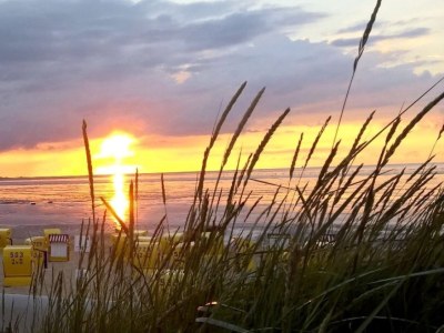 Holiday house Luxus in Cuxhaven/ Duhnen - Outdoor photo 50