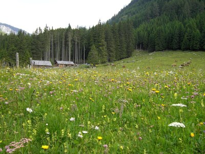 Holiday house WeiÃŸpriach - Environment photo 32