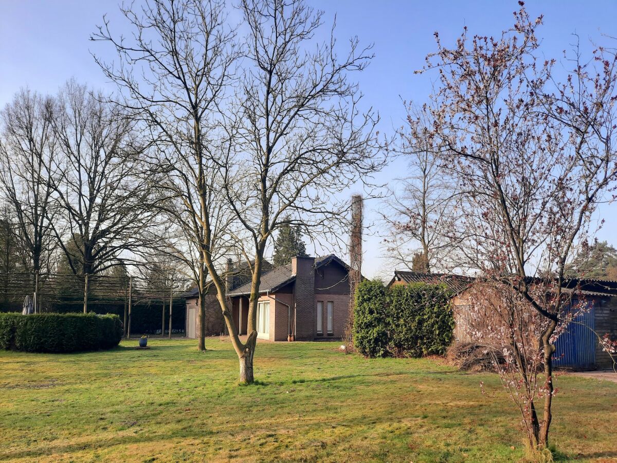Holiday house Merksplas Villa mit Terrasse