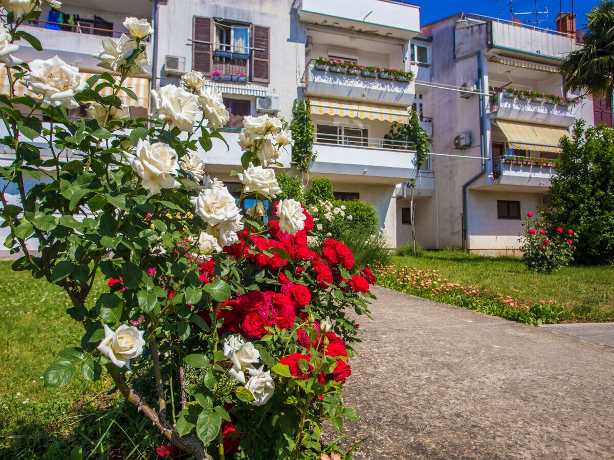 Apartment Tereza Porec - Outdoor photo 4