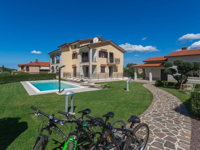 Holiday apartment Mihael with private pool - Outdoor photo 11