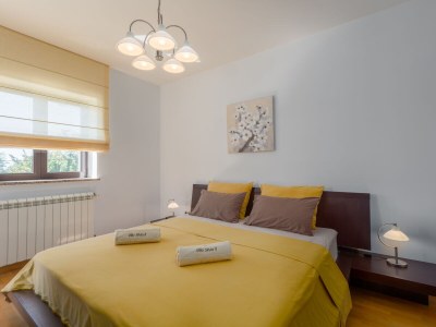 Holiday apartment Mihael with private pool - Features photo 23