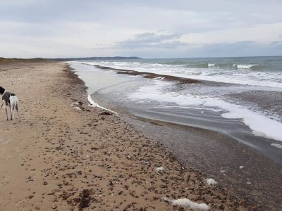 Apartment 6 Personen Ferienhaus in Brovst-By Traum - Outdoor photo 49