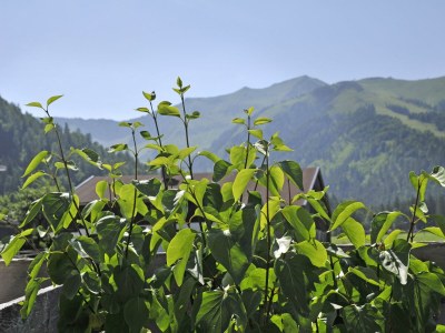 Apartment Appartement 3 - Outdoor photo 19