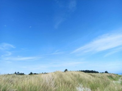 Holiday house Ruhige Oase in der Nahe des Golfplatzes-By Traum - Outdoor photo 26