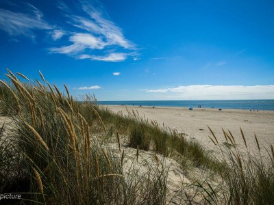 Holiday house 6 person holiday home in Blåvand-By Traum - Outdoor photo 13