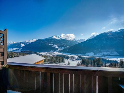 Apartment Farmhouse in Hollersbach near Ski Slopes - Outdoor photo 8