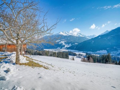 Apartment Farmhouse in Hollersbach near Ski Slopes - Environment photo 21