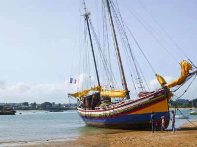 Holiday house Stone House by Les Godelins Beach, Goëlo Coast - Environment photo 12