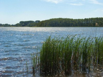 Bungalow Reihenhaus am Kummerower See, Sommersdorf - Environment photo 9