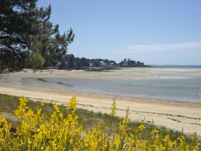 Holiday house Holiday Home in Carnac near Sandy Beach - Environment photo 29