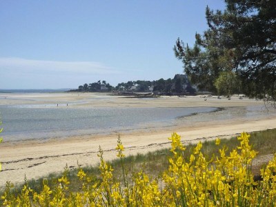 Holiday house Holiday Home in Carnac near Sandy Beach - Environment photo 39