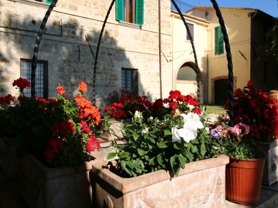 Farmhouse Bauernhaus in Umbrien am Trasimeno-See - Outdoor photo 39