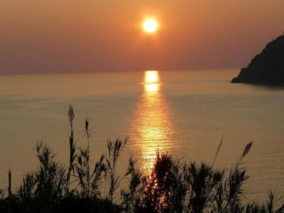 Holiday house Küstenhaus in Moneglia - Environment photo 24