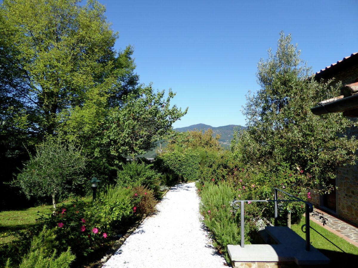 Holiday house Holiday Home in Montecarelli with Pool - Outdoor photo 5