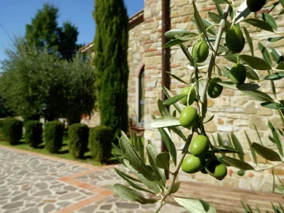 Holiday house Holiday Home in Montecarelli with Pool - Outdoor photo 25