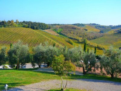 Holiday house Ferienhaus mit Pool in Stabbia - Outdoor photo 23