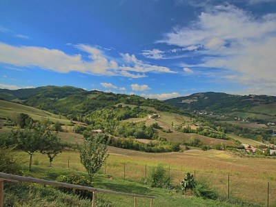 Holiday house Cottage in Montelabbate with Pool & Forest - Environment photo 33