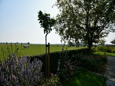 Villa Ruhiger Gruppenurlaub in der Natur - Outdoor photo 9