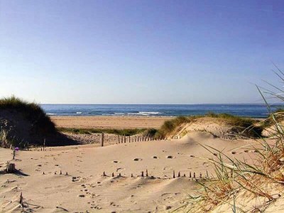 Holiday house Holzhaus am Strand bei Barneville - Environment photo 17